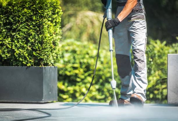 Best Animal Enclosure Cleaning  in Spotsylnia Courthouse, VA