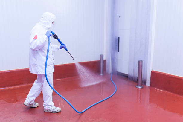 Best Gutter Cleaning  in Spotsylnia Courthouse, VA